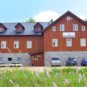 Hotel Jizerka 4